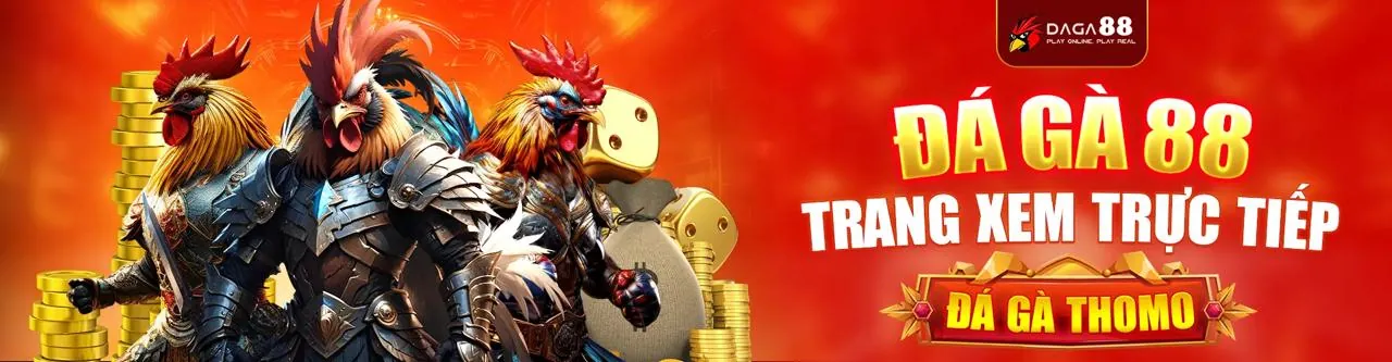 Đá Gà Trực Tuyến Hấp Dẫn tại xin88 game